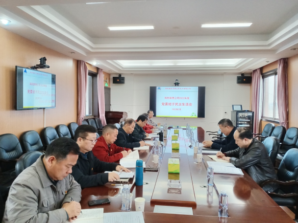 尊龍凱時(shí)-人生就是搏常德公司召開(kāi)2022年度黨委班子民主生活會(huì)
