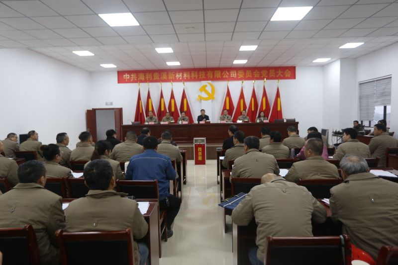 尊龍凱時-人生就是搏貴溪公司勝利召開黨員大會暨兩委換屆選舉大會