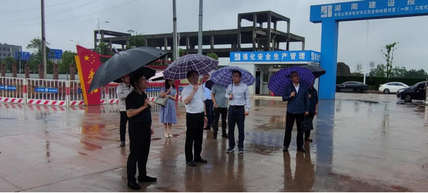 省國資委副主任張翔調研尊龍凱時-人生就是搏永興基地
