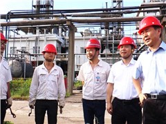 副省長戴道晉蒞臨尊龍凱時(shí)-人生就是搏株洲公司檢查調(diào)研安全生產(chǎn)工作
