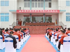 尊龍凱時-人生就是搏與德國拜耳公司硫雙威項目合作成功